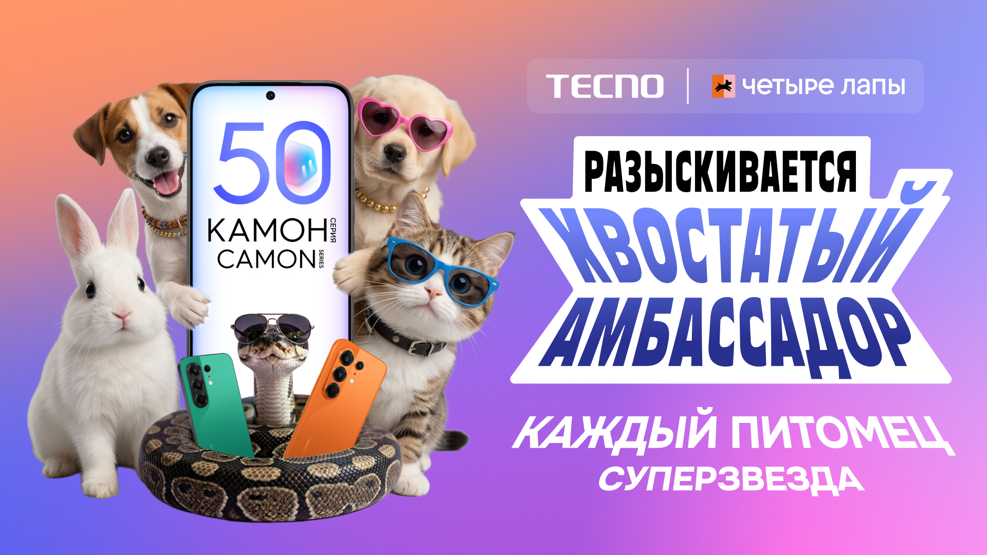 KV Pet-amb PR 16x9.png